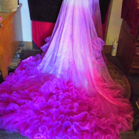 Dresses & Skirts - Hand Dyed Princess Wedding Gown/Costume